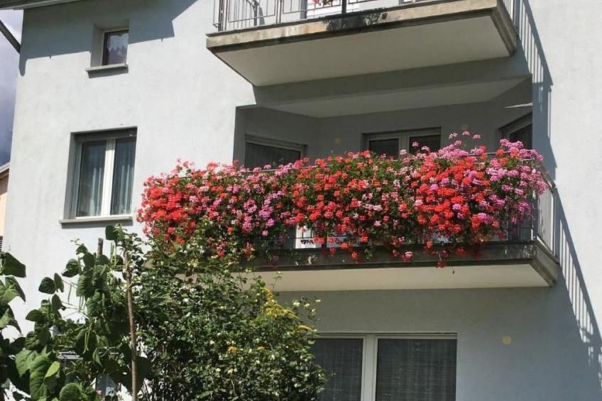 Wohnung mit Bergblick - foto 17