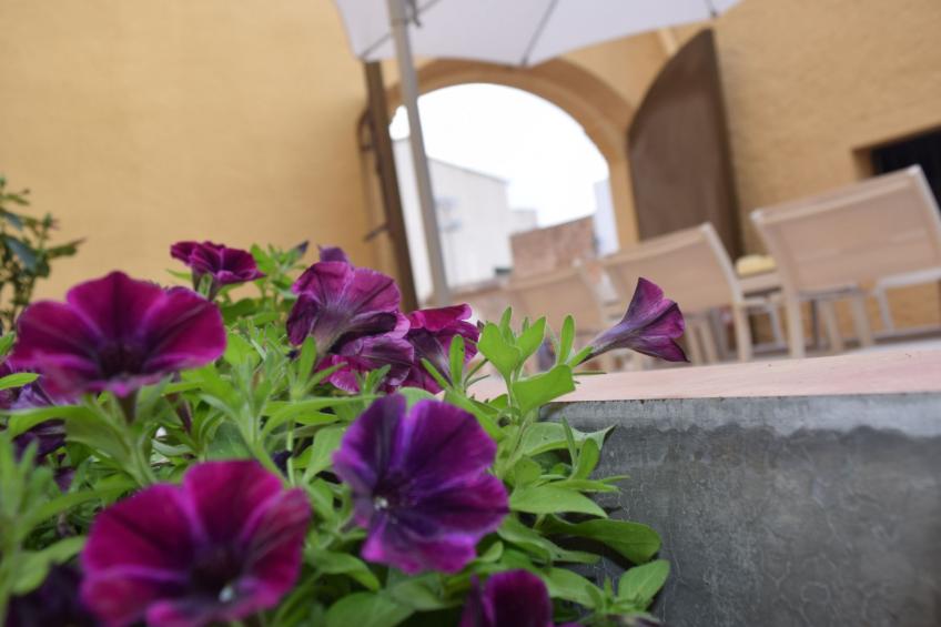 Fachwerkhaus "Casa Entera". - foto 34