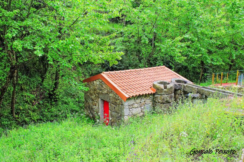Casa das Devesas - foto 64