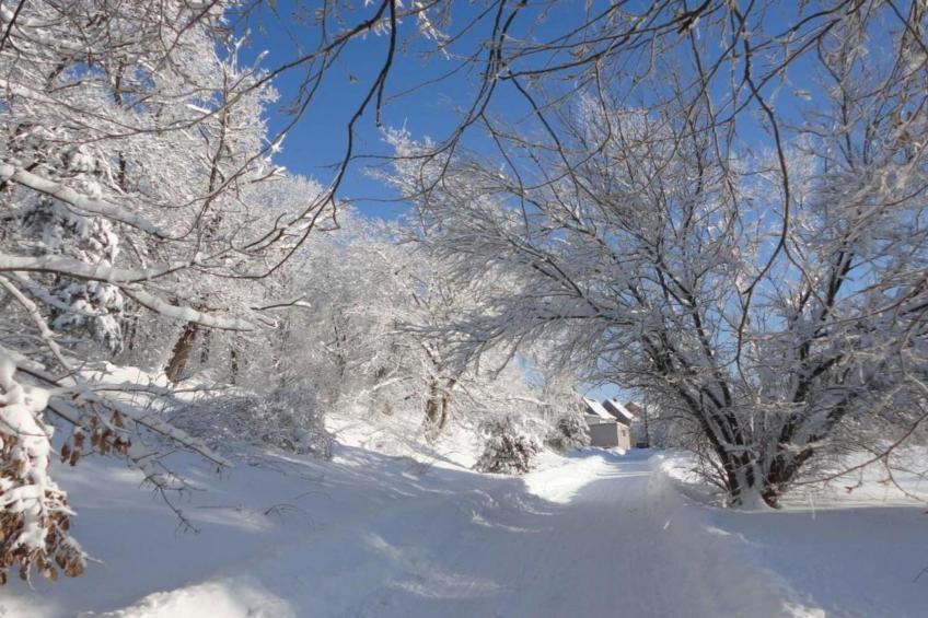 Holzhaus Andi - foto 34