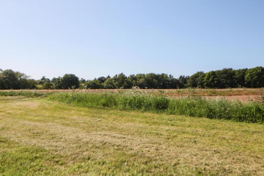 The Pig Barn - foto 26