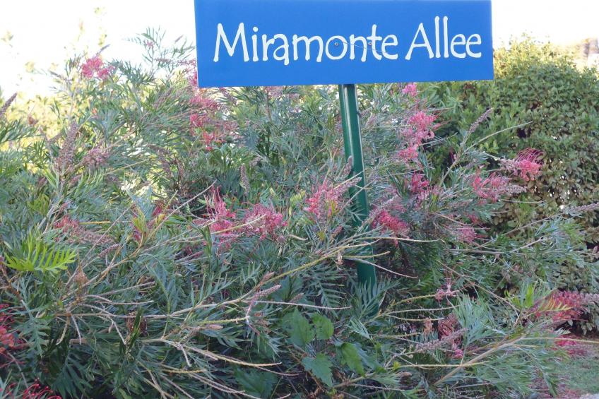 Villa Miramonte - foto 5