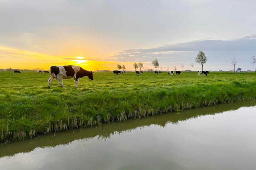 Zon in de duinen - 33 - foto 33