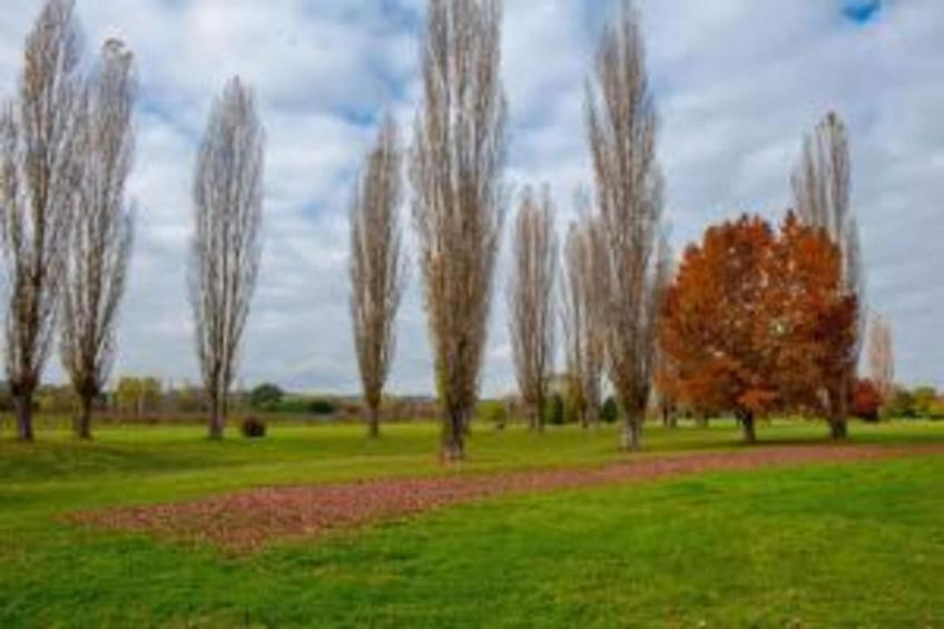 Portico della Volpe - foto 24