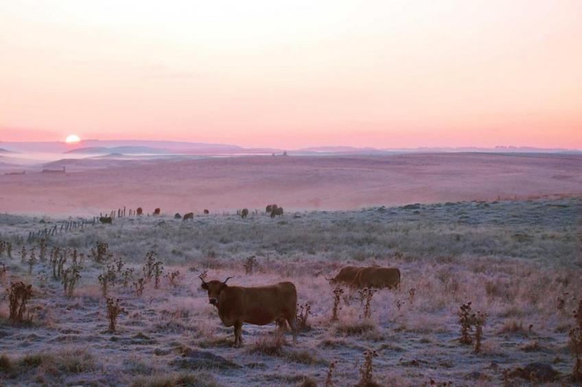 Maison de vacances - NEUVÉGLISE - foto 22