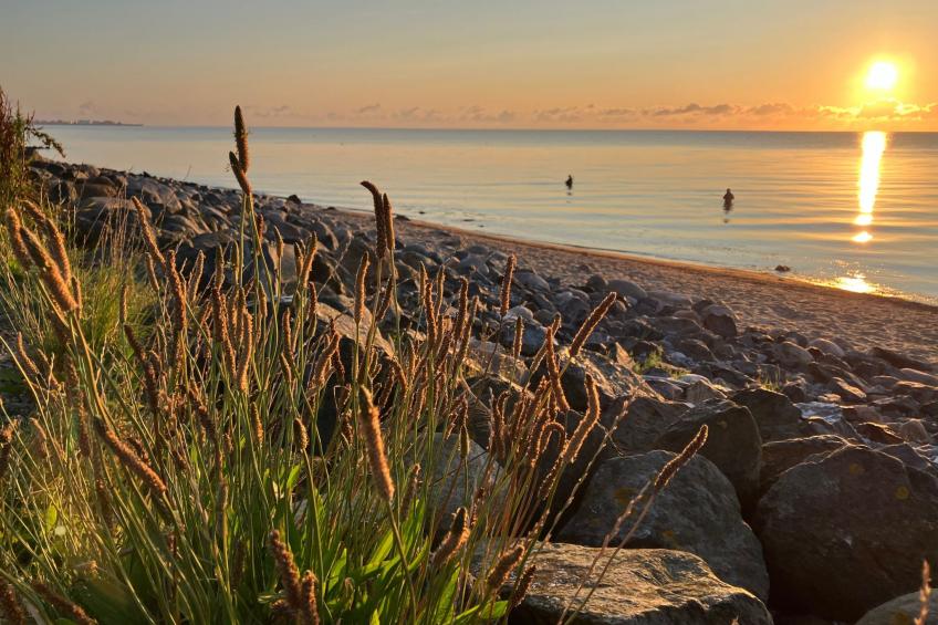 Gemütliche Ferienwohnung in Brodersby-Schönhagen - foto 33