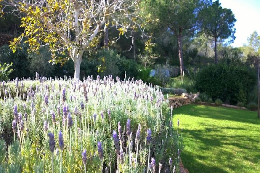 Finca Planetas - foto 27