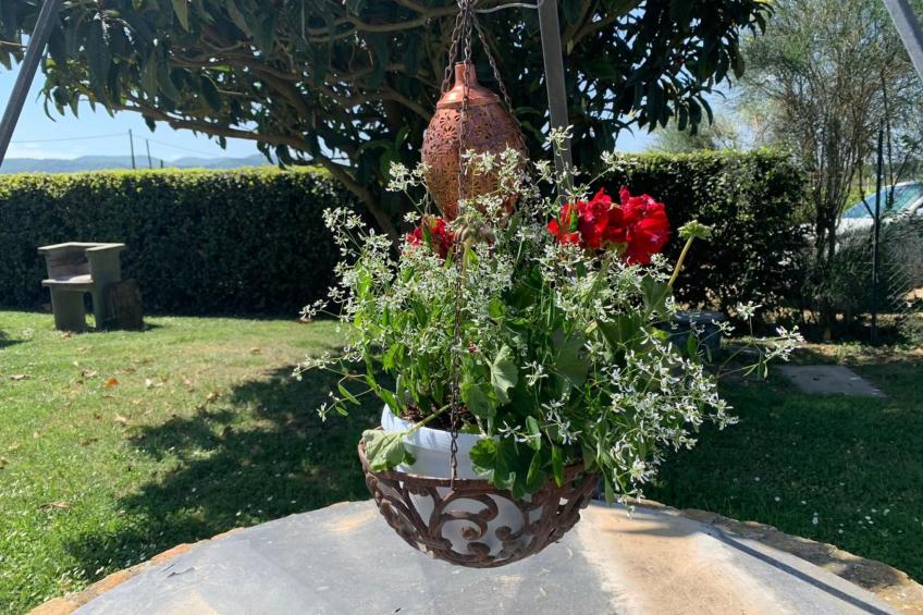 Mela' Wohnung mit Gemeinschaftspool - foto 66