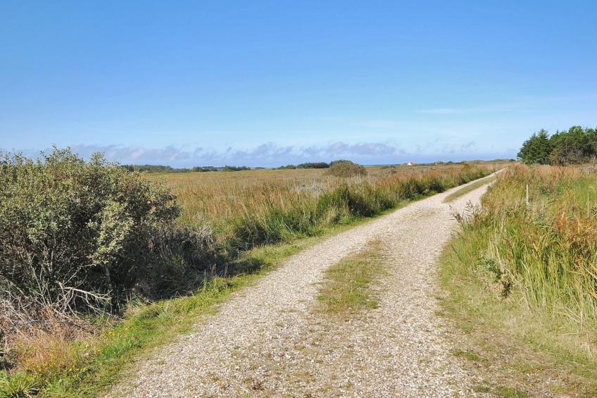 "Neven" - 900m from the sea in NW Jutland - foto 18
