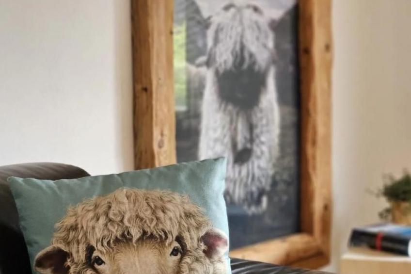 Schwarzhorn - foto 10