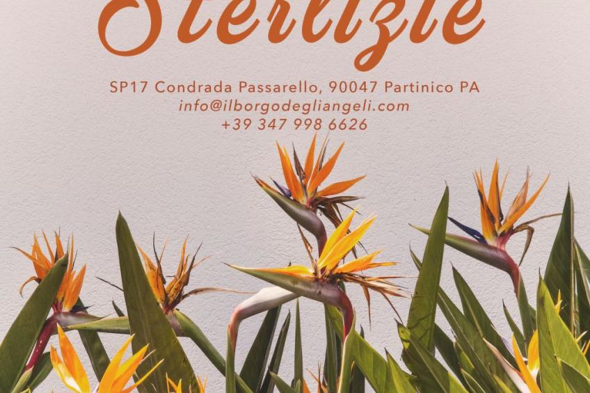 Villa 'delle Sterlizie' mit eigenem Pool - foto 79