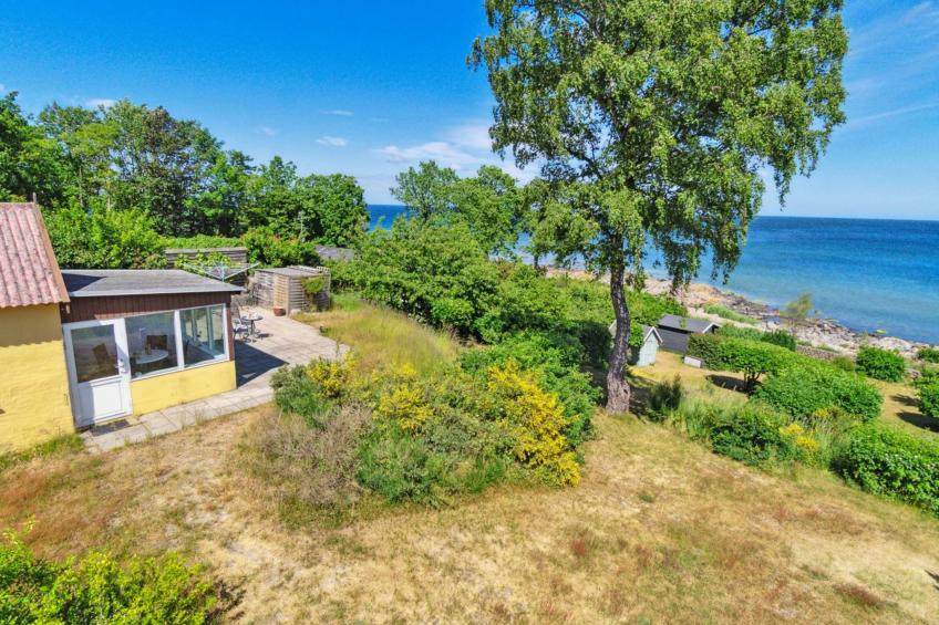 "Throtti" - 50m from the sea