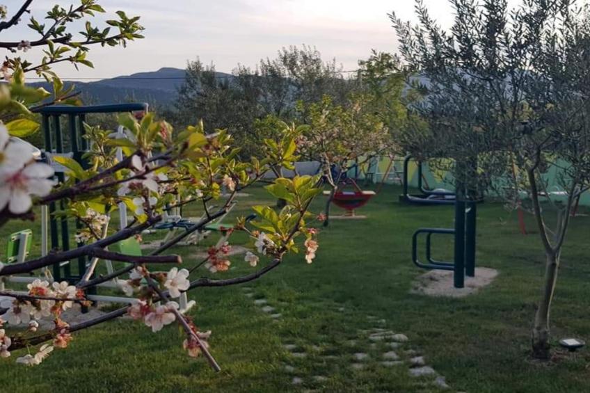 Villa Popovića Dvori -  Six Bedroom Villa with Pool - foto 149