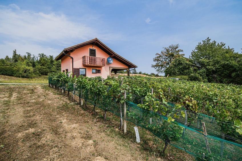 Harvest Horizon Holiday Home with Sauna - One Bedroom Holiday Home - foto 19