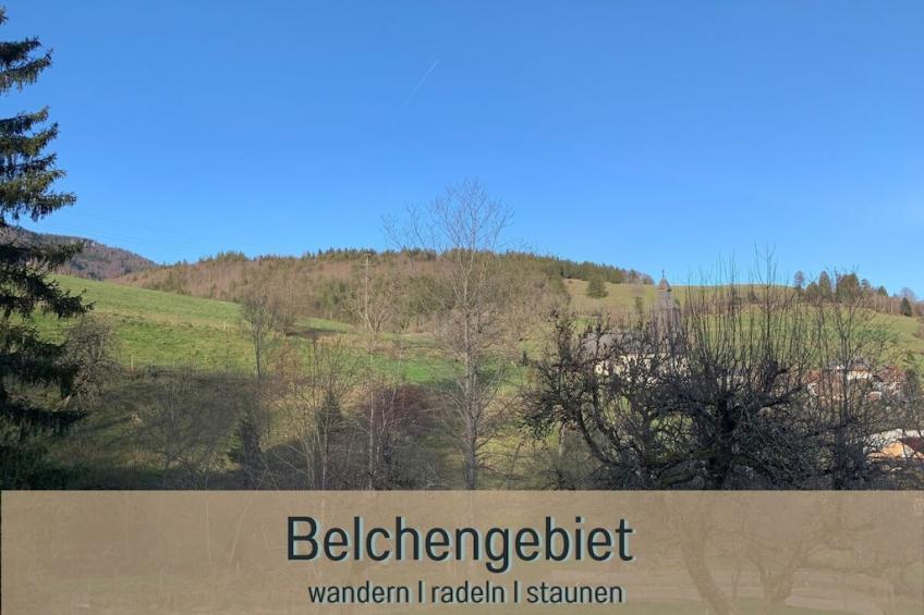 78633 - foto 2