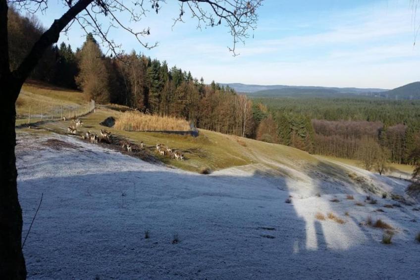 Burggrub - foto 31
