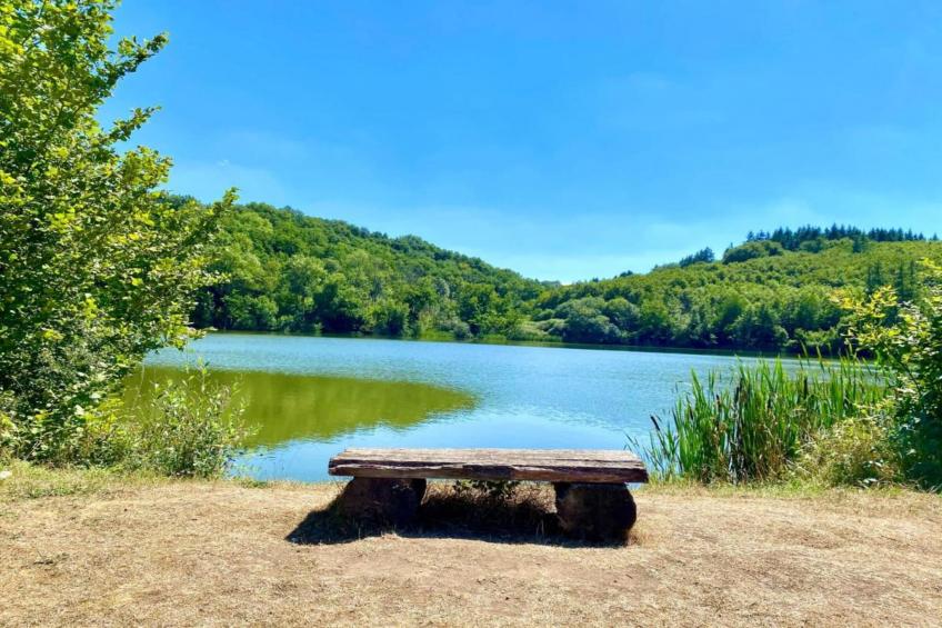 Ferienhaus Waldblick - foto 34