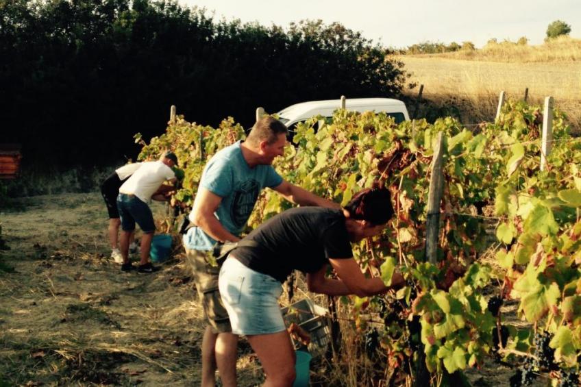 in Badolato Marina - foto 40