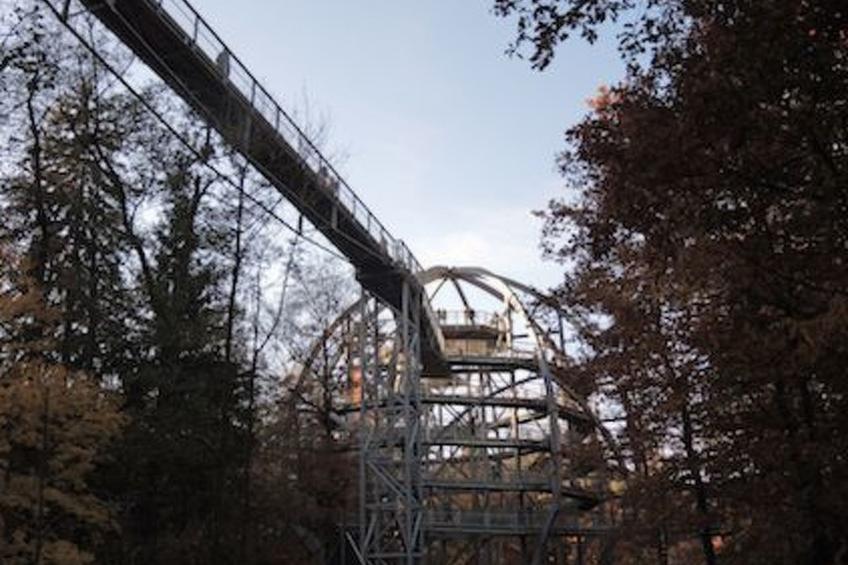 Wohnung in Bad Harzburg mit Garten - foto 7