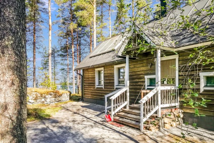 Luhtalemmikki - foto 28