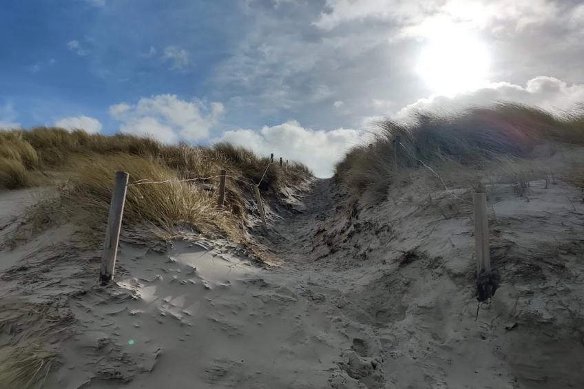 Ferienhaus Küstenwald klein - Strandhotel Fischland - foto 26