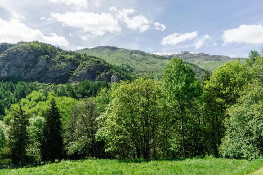 Residence Le Hameau de Valloire - foto 23