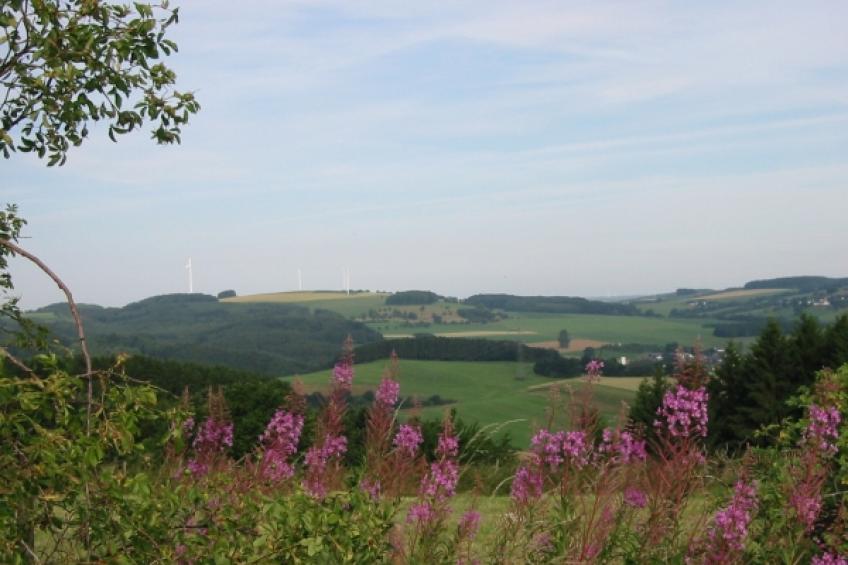 Haus 1  - Typ C (kombiniert) - foto 23