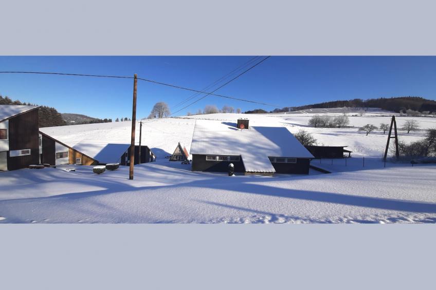 Murmeltier - foto 35