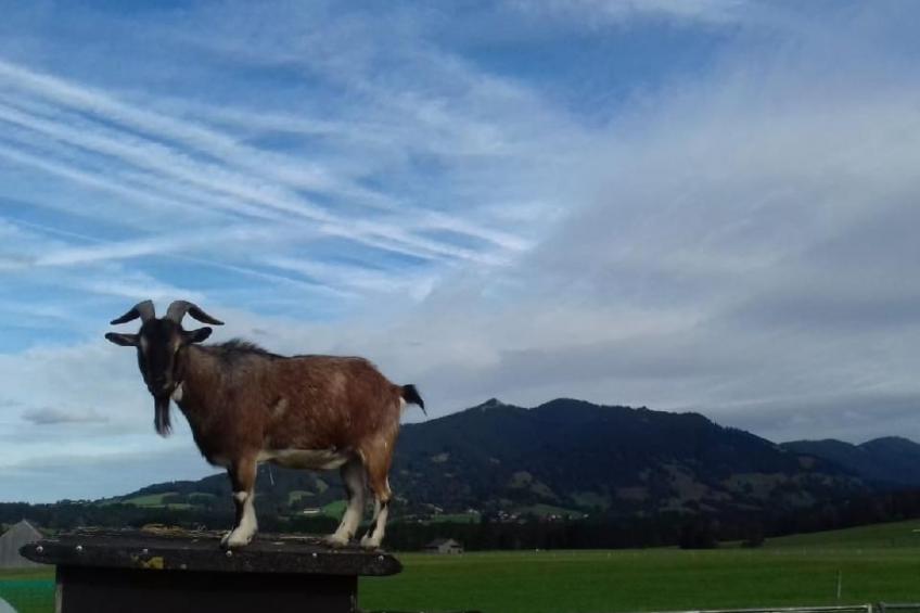 mit Blick auf das Wasser - foto 88