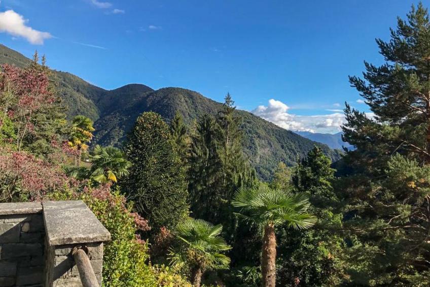 Chalet Mergoscia - foto 4