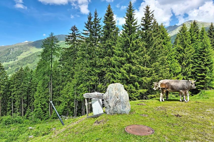 Naviser Hütte - foto 59