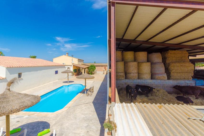 Sa Caseta De Ses Vaques.son Covas - foto 9