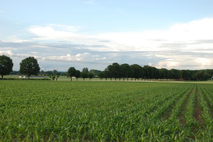 Oppe Winckel - De Biemösj - foto 32