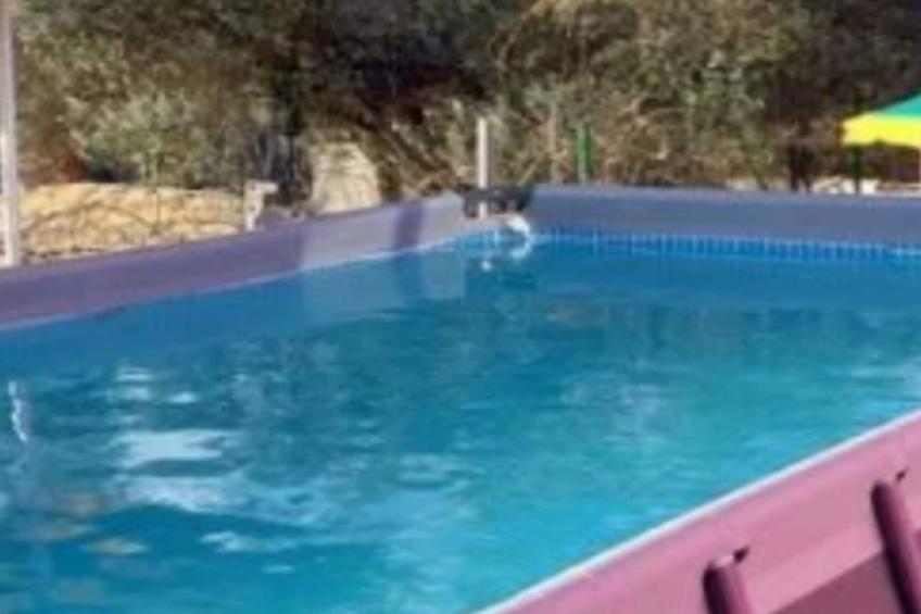 Holiday Home Village Paradise - foto 19