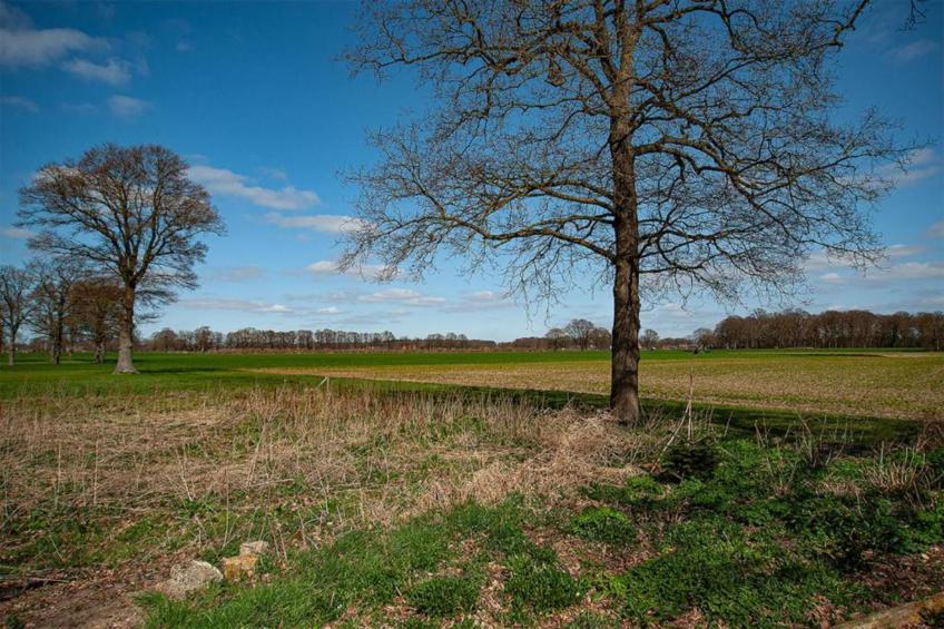 Vakantiewoning de Zwaluw - foto 40