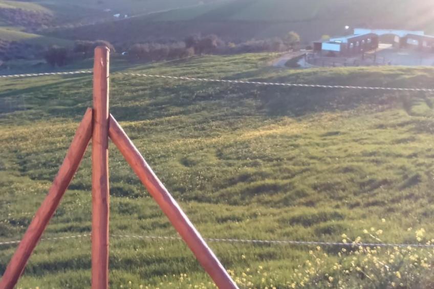 Gemütliches Ferienhaus in Almogía mit Garten - foto 7