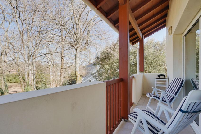 Les écureuils - foto 5
