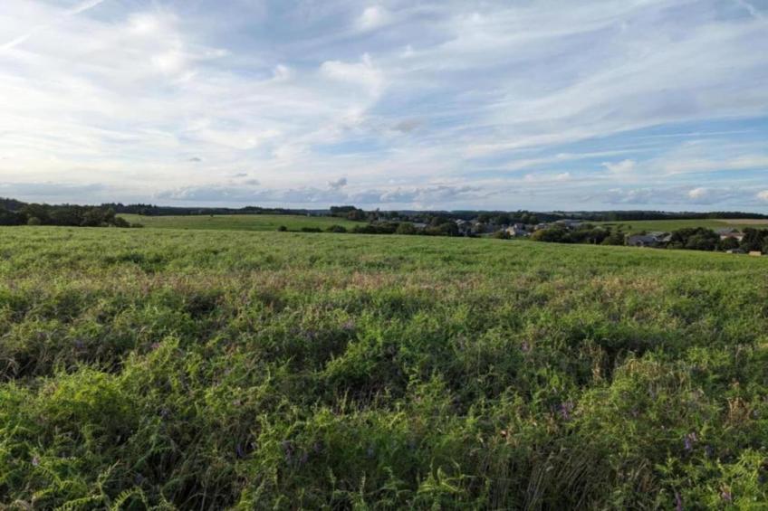 Les Rivières - foto 33