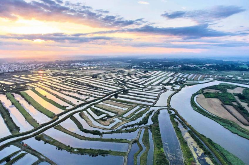 Maison à Bretignolles-sur-Mer - foto 26