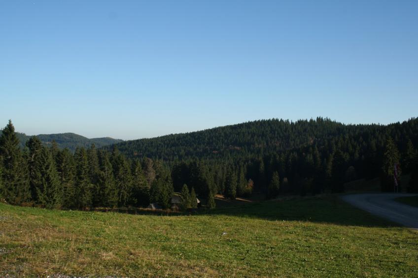 Gütenbach - foto 23