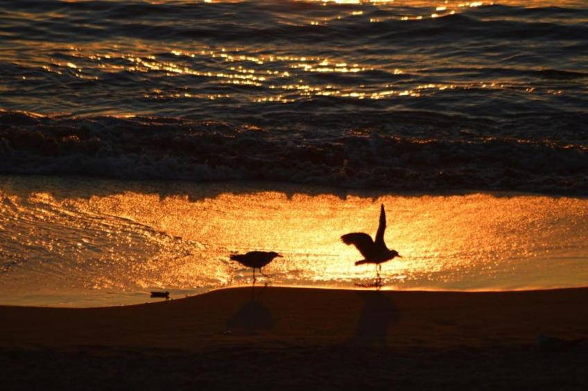 Résidence Domaine Iratzia - foto 39