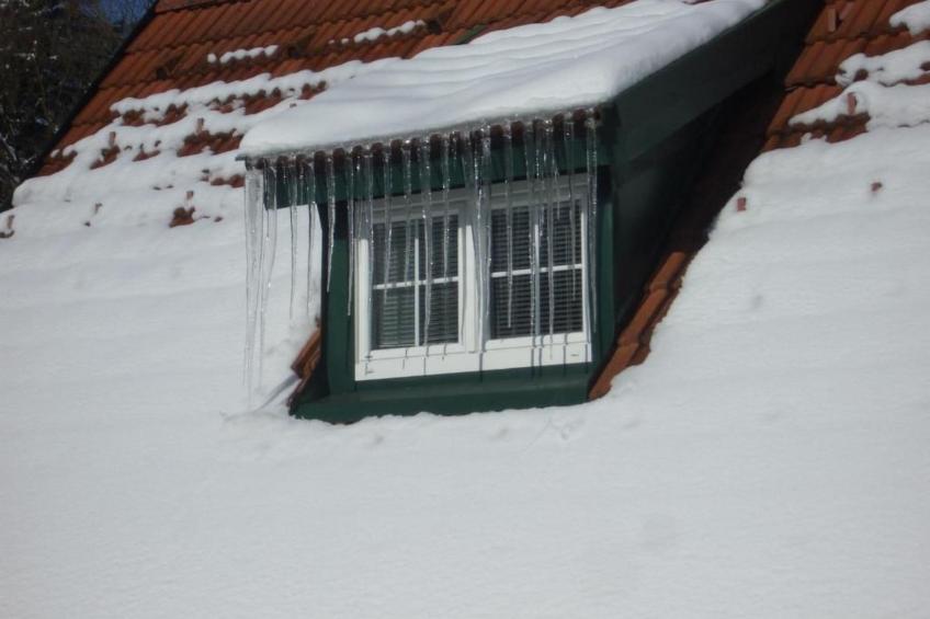 Black & White - foto 9