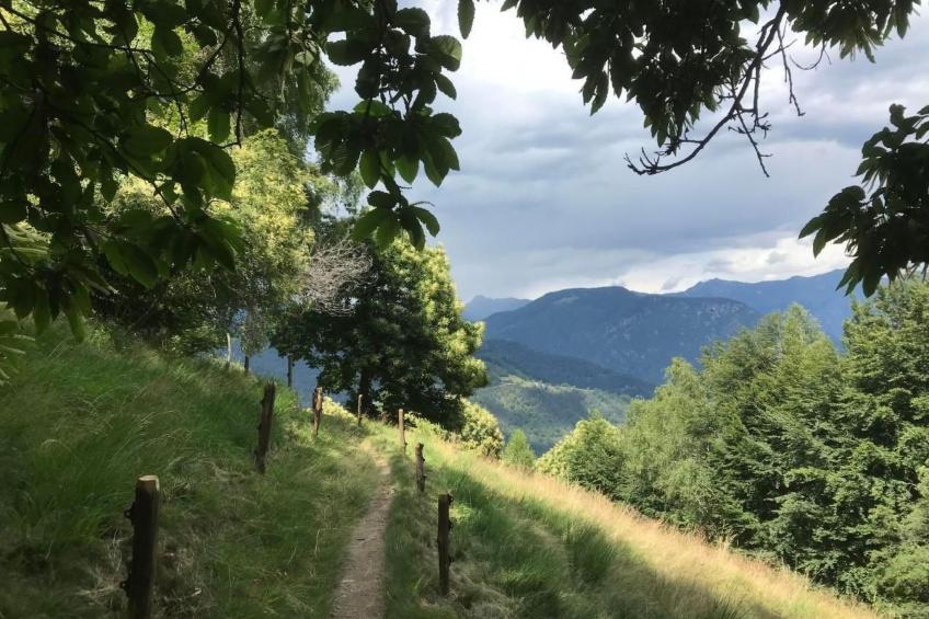Typisches Tessiner Landleben im Centovalli - foto 4