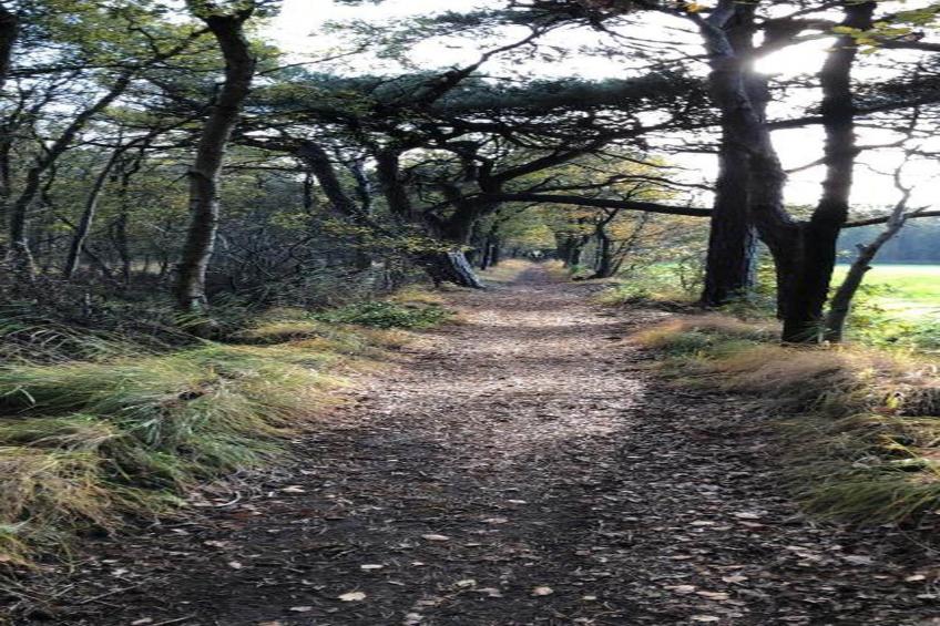 Waterpark Terkaple 2 - foto 32