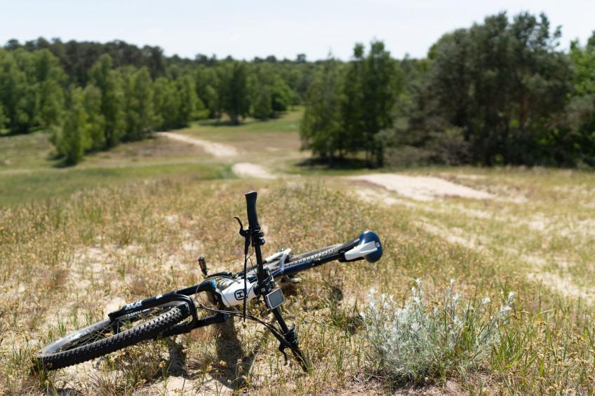 Hafenkönigin - foto 7