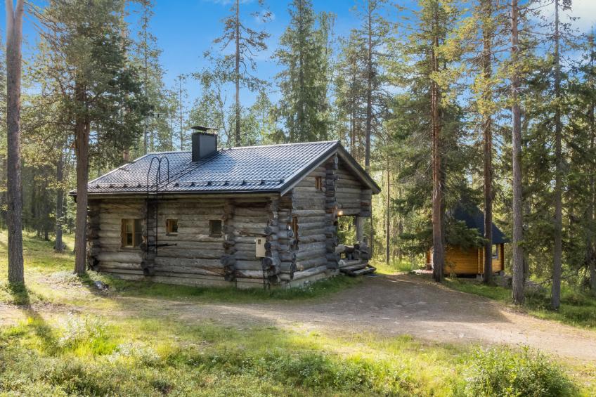 Ukkohermanni