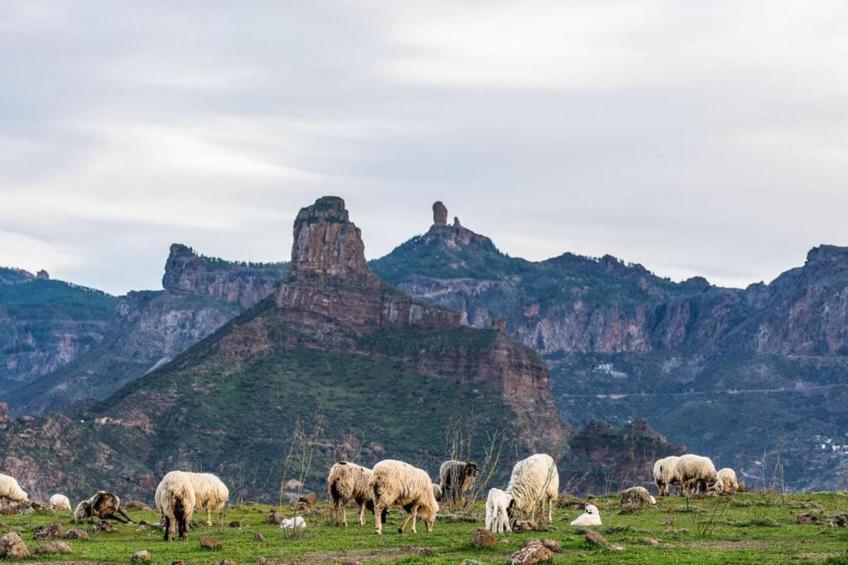 Casa Maspalomas - foto 40