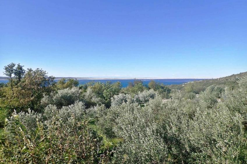 Studio apartment Paklenica - foto 14