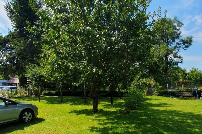 Haus "Am Nussbaum " - foto 18