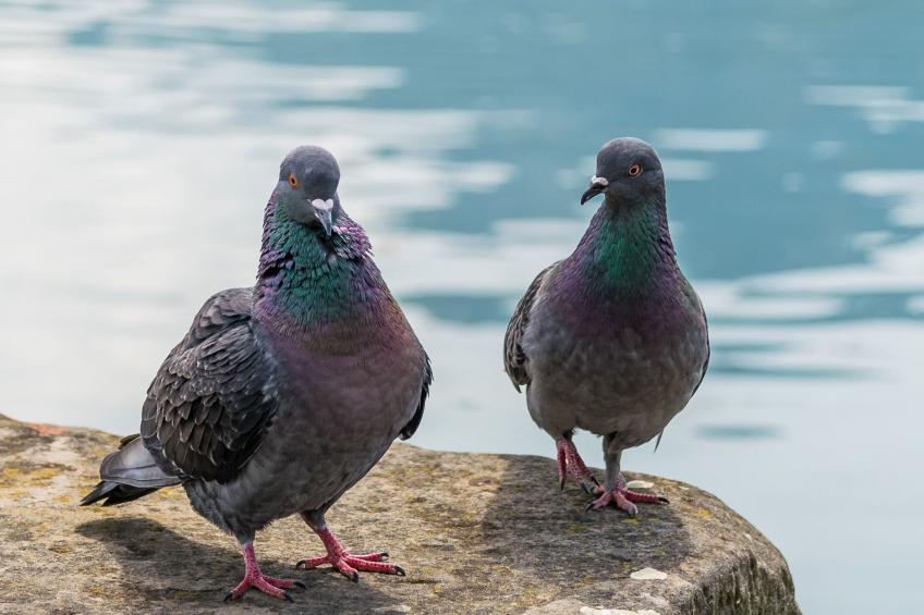 Dreistöckiges Apartment in einem historischen Gebäude - foto 48